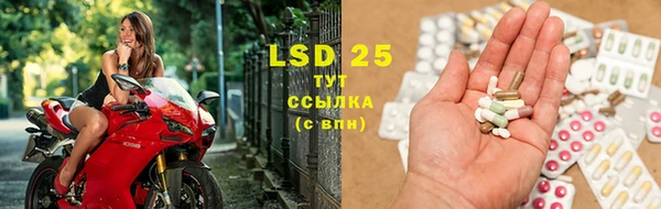 2c-b Инсар
