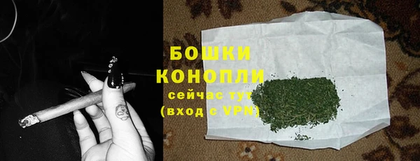 2c-b Инсар